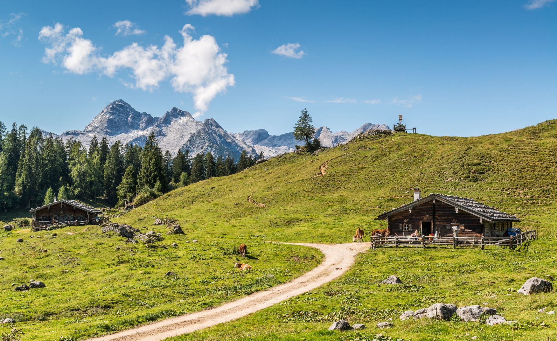 lofer shoes for boys